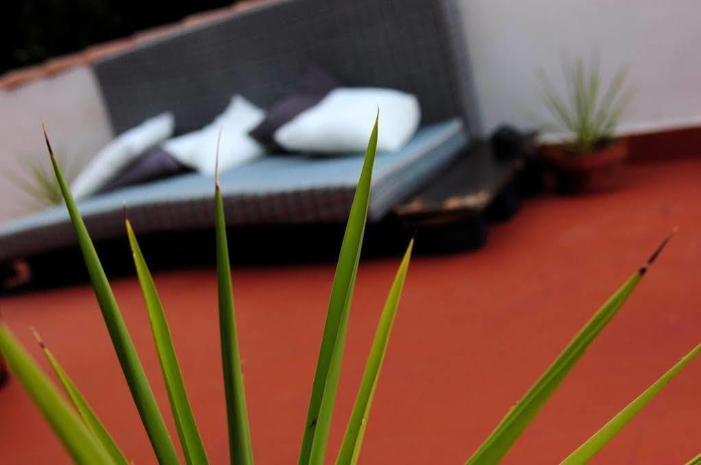 Posada El Parral Benaocaz Ngoại thất bức ảnh